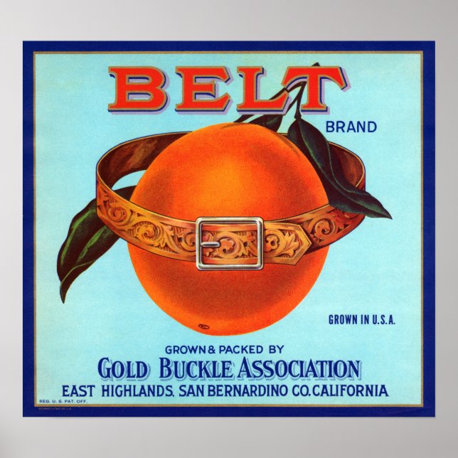 Belt Brand California Orange Poster (Vorne)