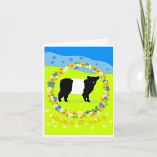 Belted Galloway calf birthday card Dankeskarte