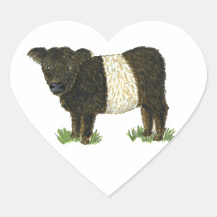 'Beltie' Belted Galloway Herz-Aufkleber