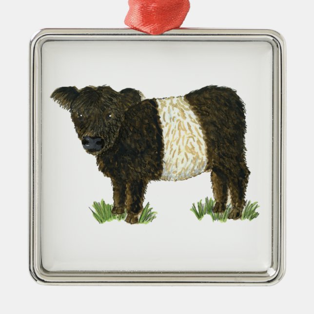 "Beltie" umgeschnallter Galloway Silbernes Ornament (Vorne)