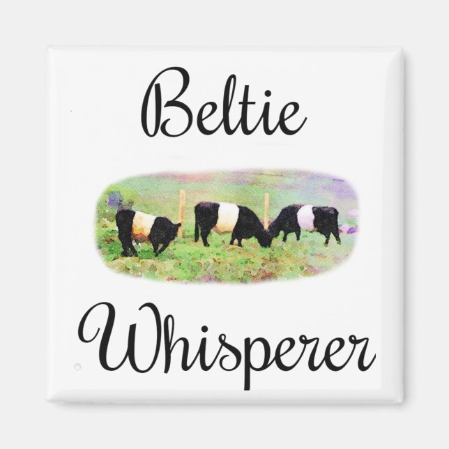Beltie Whisperer Belted Galloway Cattle Funny Cows Magnet (Vorne)