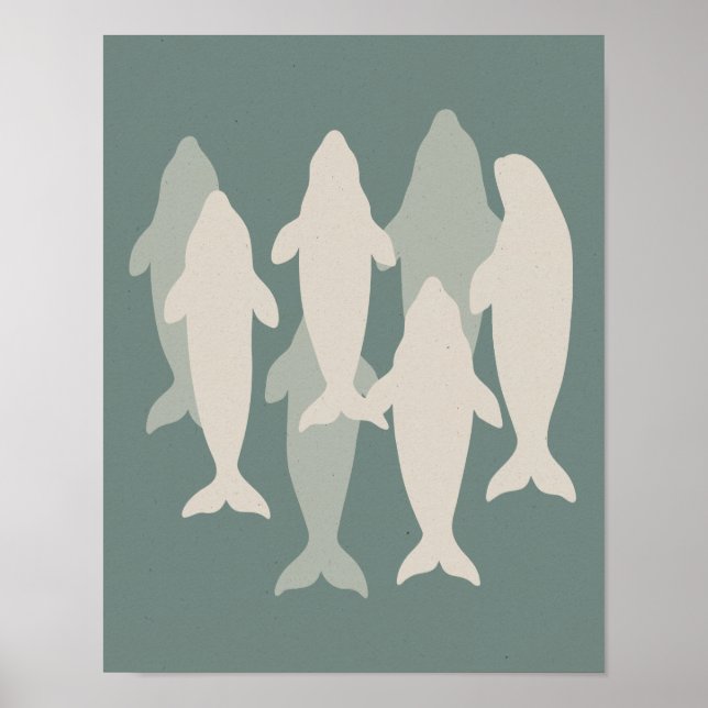 Beluga Pod Illustriert Poster (Vorne)