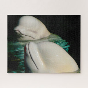 Beluga Whale Alaska Puzzle