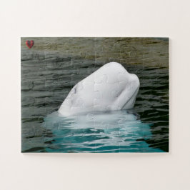Beluga Whale Alaska Puzzle