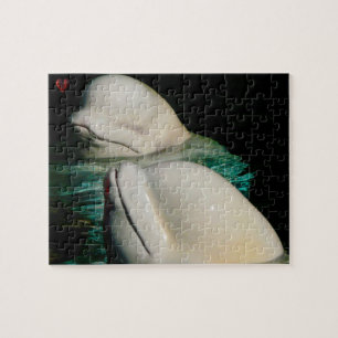 Beluga Whale Alaska Puzzle