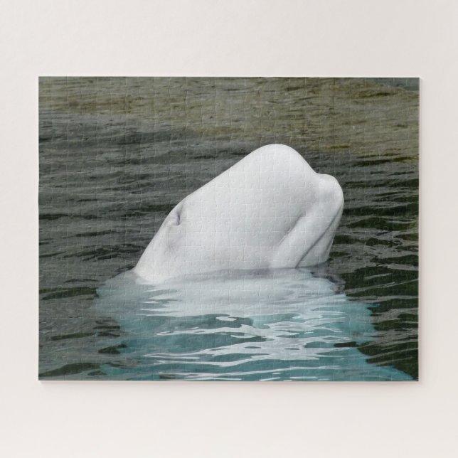 Beluga Whale Alaska Puzzle (Horizontal)
