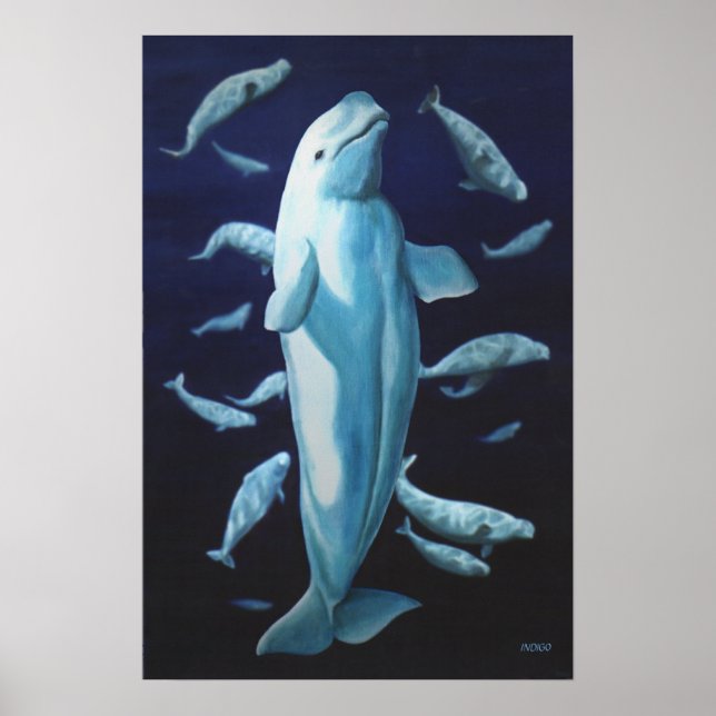 Beluga Whale Art Print Marinelife Whale Malerei Poster (Vorne)