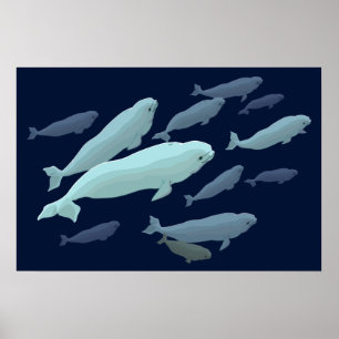 Beluga Whale Art Print Marinelife Whale Malerei Poster