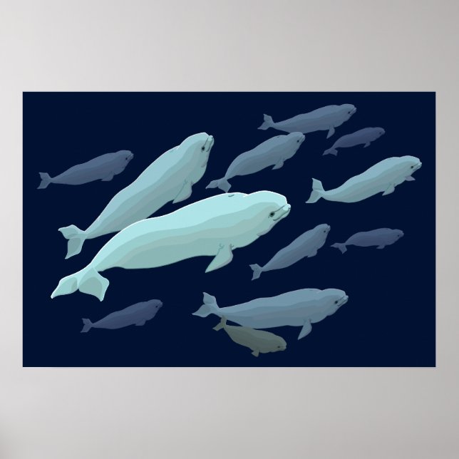 Beluga Whale Art Print Marinelife Whale Malerei Poster (Vorne)