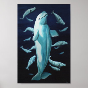 Beluga Whale Art Print Marinelife Whale Malerei Poster
