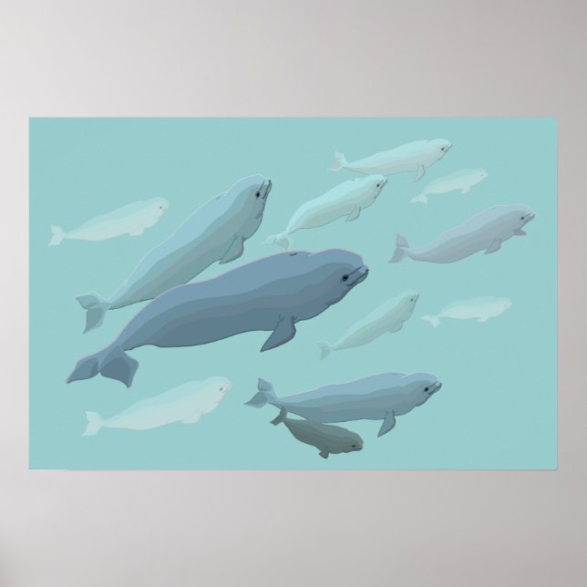 Beluga Whale Art Print Marinelife Whale Poster (Vorne)
