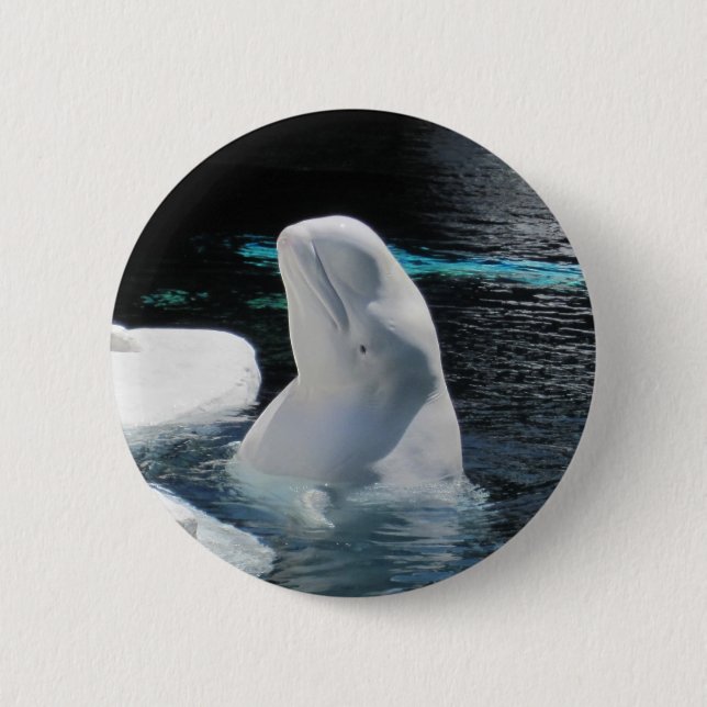 Beluga Whale Button (Vorderseite)