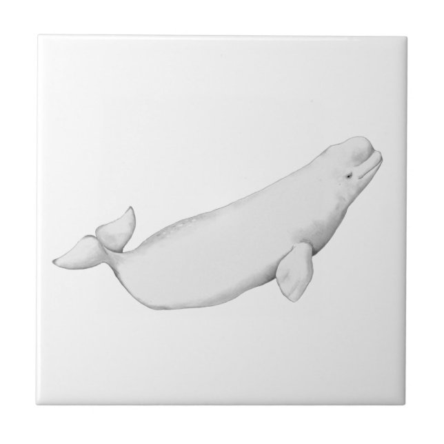Beluga Whale Illustration Whale Lover Geschenk Whi Fliese (Vorderseite)