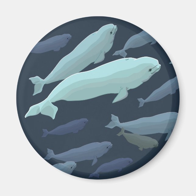 Beluga Whale Kühlschrankmagnet Whale Kunstgewerbe Magnet (Vorne)