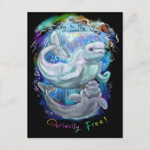 Beluga Whales Postkarte