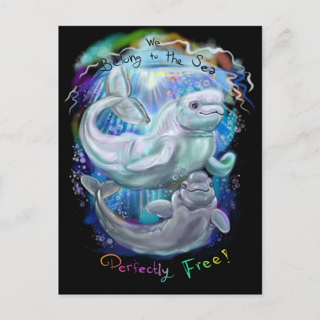 Beluga Whales Postkarte (Vorderseite)