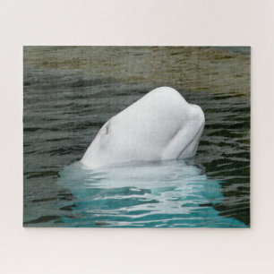 Beluga Whales Puzzle