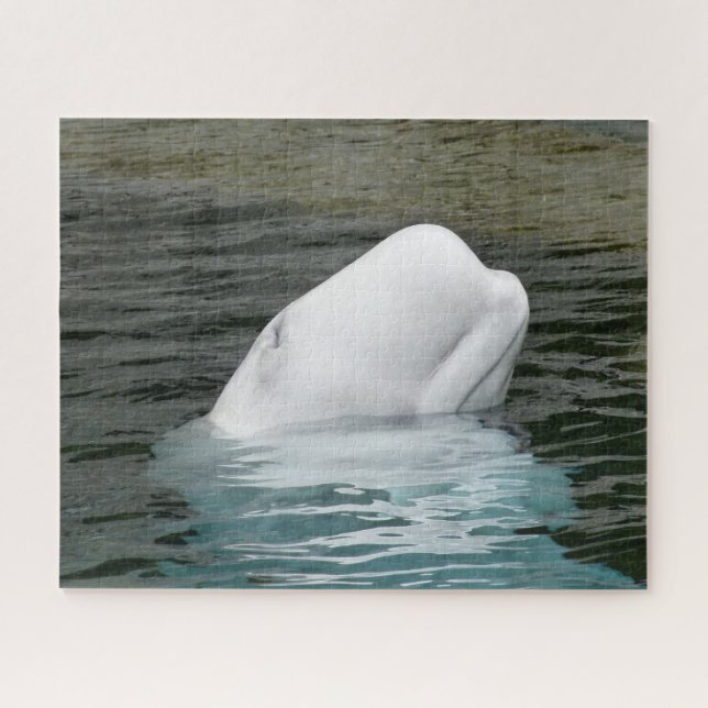 Beluga Whales Puzzle (Horizontal)