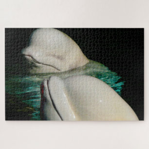 Beluga Whales Puzzle