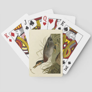 Bemaculated (Brewer's Duck, Audubon Birds America Spielkarten
