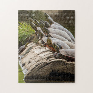 Bemalte Schildkröten sonnen sich in einem Teich Puzzle