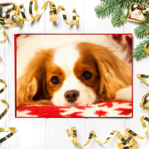Bemalte Snowflake Sweet King Charles Spaniel Karte