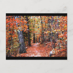 Bemalter Wald Herbstweg Aquarell Geschenke Postkarte