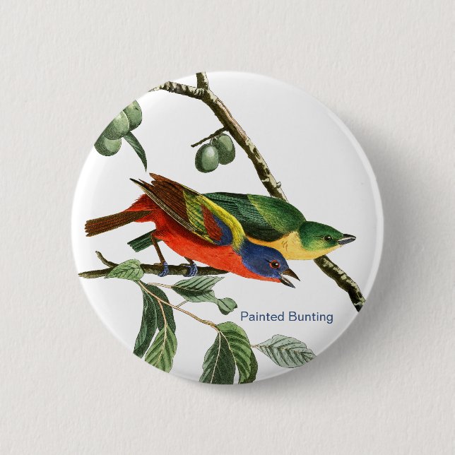 Bemaltes Bejagen, Audubon, Birdwatcher Finch Bird, Button (Vorderseite)