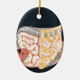 Bemannen Sie das Halten des Modells der Keramikornament