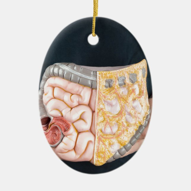 Bemannen Sie das Halten des Modells der Keramikornament (Vorne)