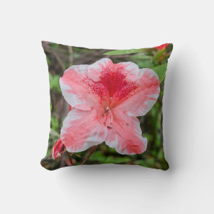 Ben Morrison Azalee (Rhododendron 'Ben Morrison') Kissen