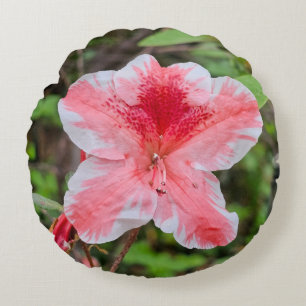 Ben Morrison Azalee (Rhododendron 'Ben Morrison') Rundes Kissen