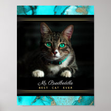 Benannt beste Katze je Foto Vorlage Aquamarin Abst