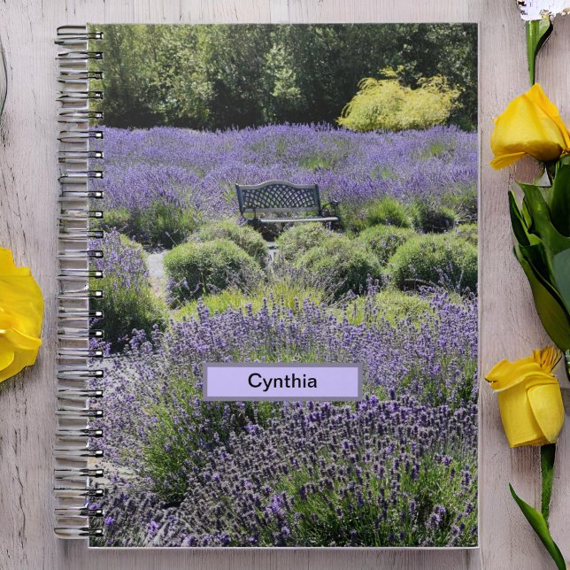 Bench in einem riesigen Lavendelfeld in Sequim Notizblock (Von Creator hochgeladen)