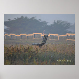 Bench mit Ansicht Poster