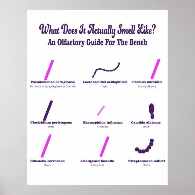Bench Olfactory Guide Poster (Vorne)