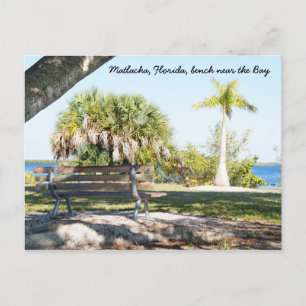 Bench Palm Tree Bay Matlacha Florida Postcard Postkarte