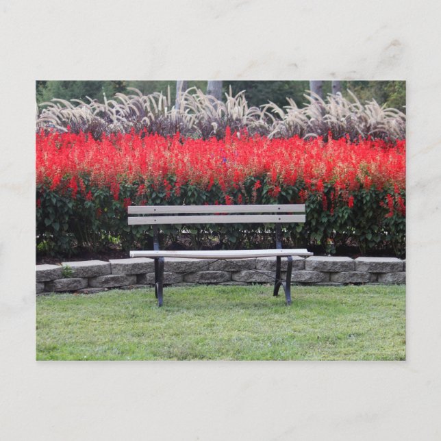 Bench Red Floral Foto Postkarte (Vorderseite)
