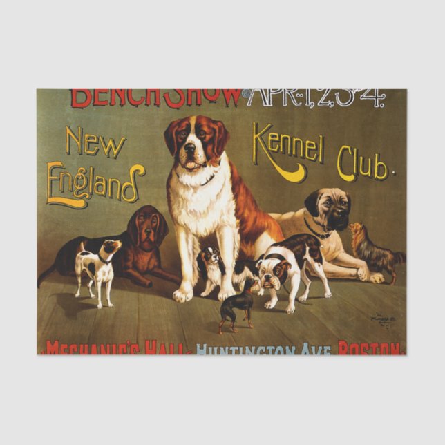 Bench Show. Kennel Club Seidenpapier (Vorderseite)