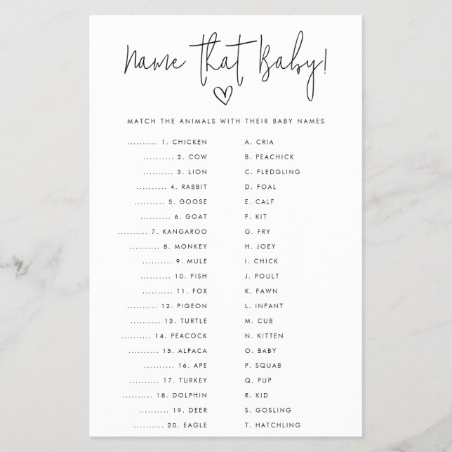 Benennen Sie die Minimalistische Baby Shooter-Papi Flyer (Vorne)