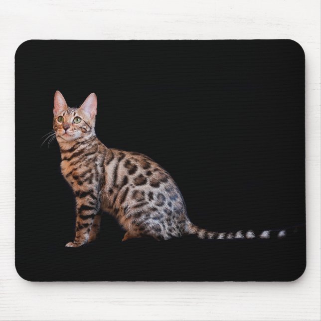 Bengal cat mousepad (Vorne)