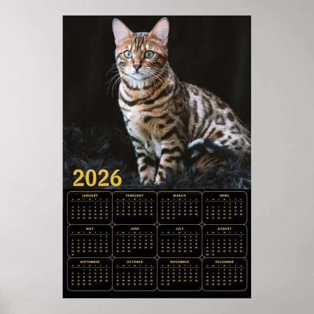 Bengal-Katze 2026 Kalender Poster (Vorne)