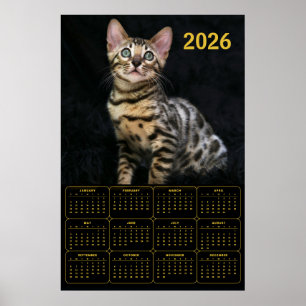 Bengal-Katze 2026 Kalender Poster