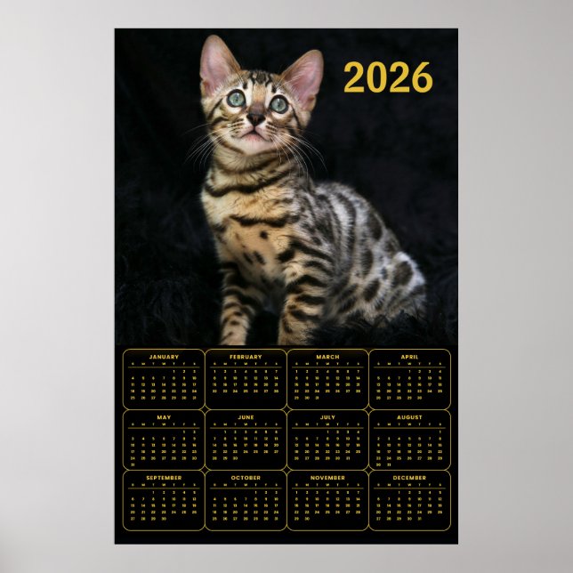 Bengal-Katze 2026 Kalender Poster (Vorne)