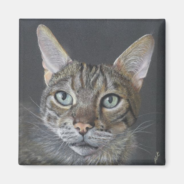 Bengal-Katze-Magnet Magnet (Vorne)