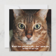 Bengal-Katzen-Gesichtsfoto "Hätte dir ein Geschenk