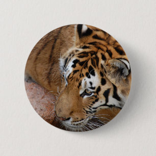 Bengal Tiger Button