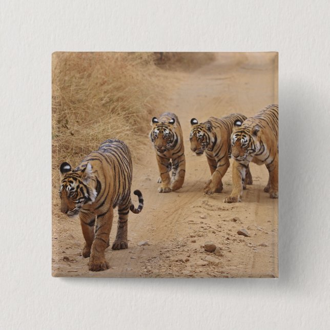 Bengal-Tiger Button (Vorderseite)