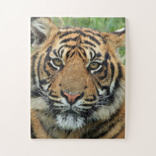 BENGAL TIGER JIGSAW PUZZLE