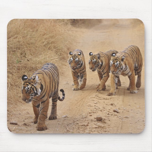 Bengal-Tiger Mousepad (Vorne)